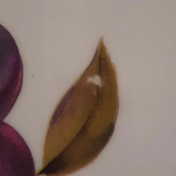 Royal Worcester Eversham White Gold Fruit Quiche Plate Dish 8 3/4 Inch Porcelain - Picture 6 of 8